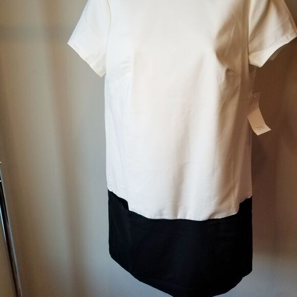 Ivory and black dress - Picture 6 of 8